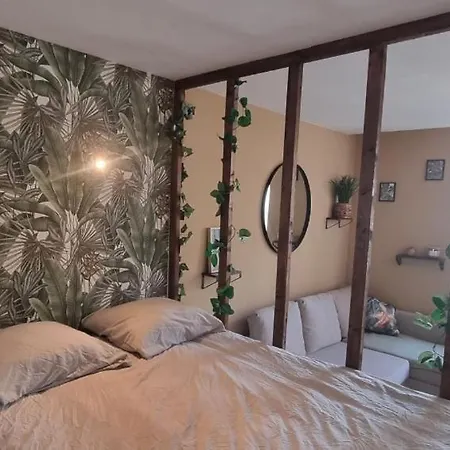 New Jungle Cœur De Climatisé *