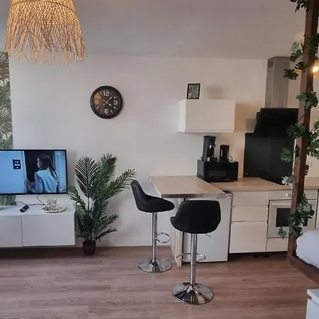 Apartment New Jungle Coeur De Pont-a-Mousson