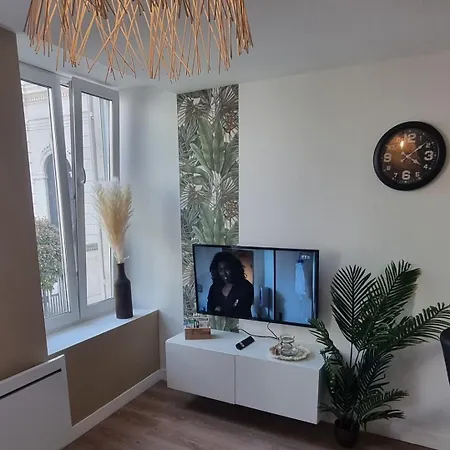 Apartmán New Jungle Coeur De Pont-à-Mousson