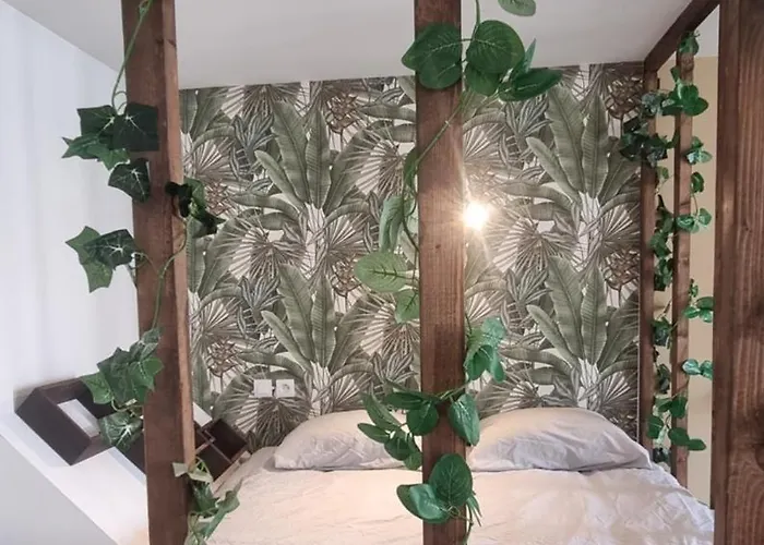 New Jungle Coeur De Apartmán *